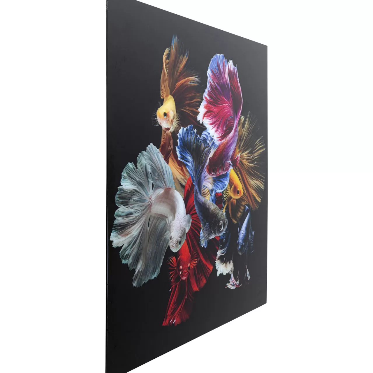 Tableau En Verre Colorful Swarm Fish 120X120Cm*KARE Design Best Sale