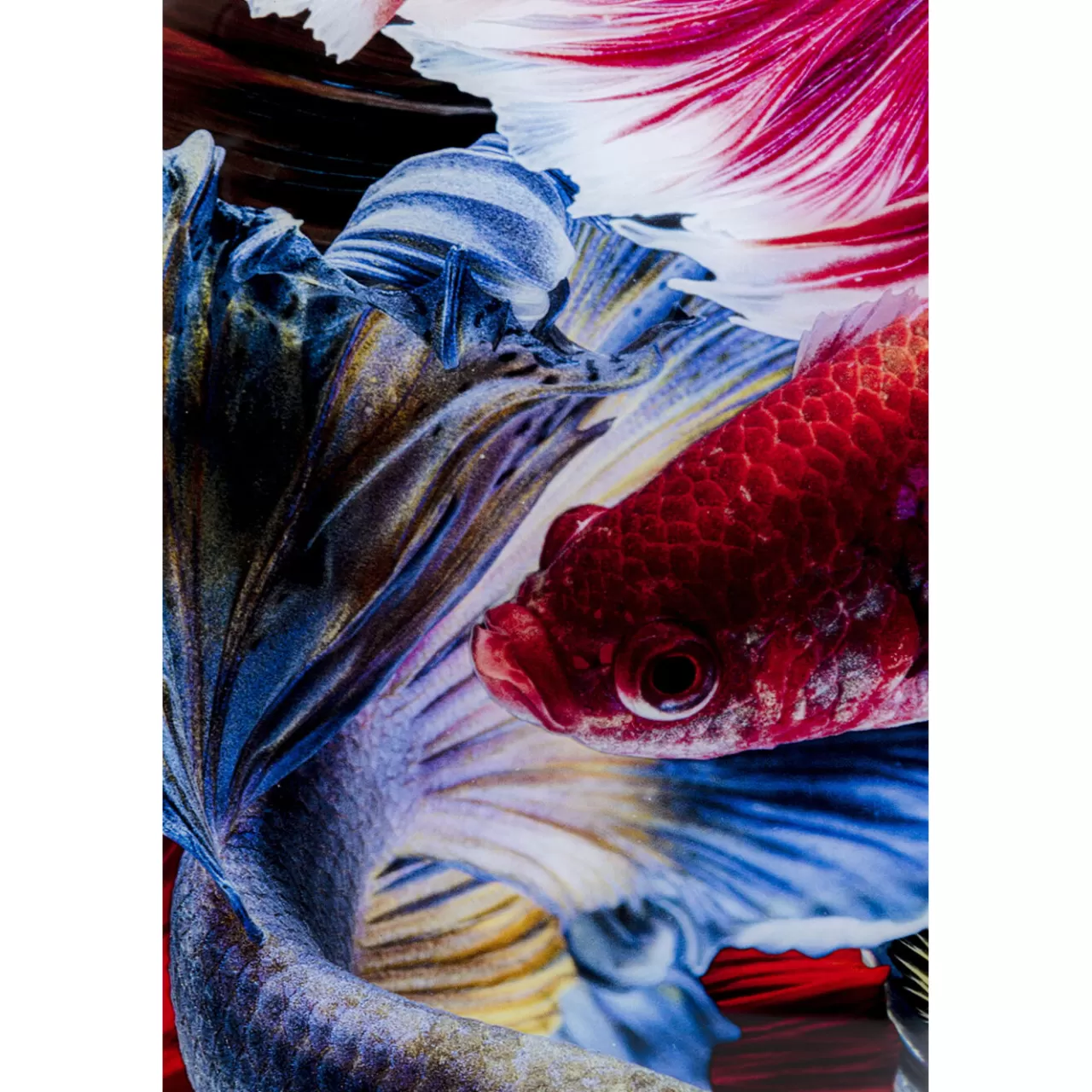 Tableau En Verre Colorful Swarm Fish 120X120Cm*KARE Design Best Sale