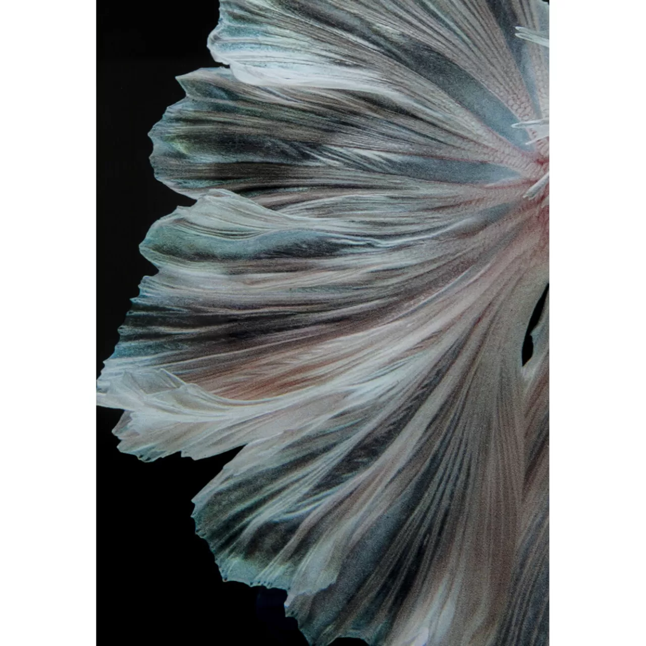 Tableau En Verre Colorful Swarm Fish 120X120Cm*KARE Design Best Sale